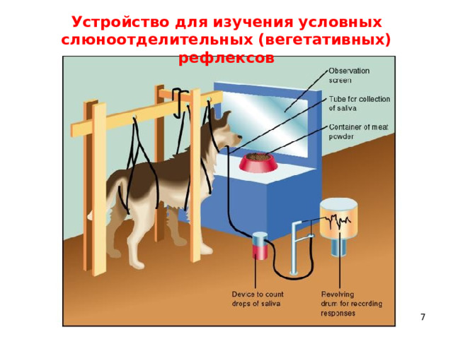 Устройство для изучения условных слюноотделительных (вегетативных) рефлексов 5 5 