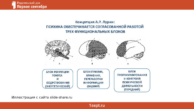 Иллюстрация с сайта slide-share.ru 