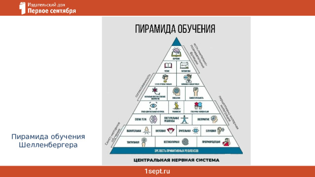 Пирамида обучения Шелленбергера 