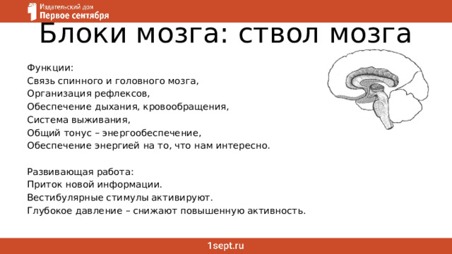 Блоки мозга: ствол мозга Функции: Связь спинного и головного мозга, Организация рефлексов, Обеспечение дыхания, кровообращения, Система выживания, Общий тонус – энергообеспечение, Обеспечение энергией на то, что нам интересно. Развивающая работа: Приток новой информации. Вестибулярные стимулы активируют. Глубокое давление – снижают повышенную активность. 