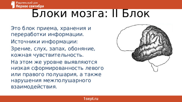 Блоки мозга: II Блок Это блок приема, хранения и переработки информации. Источники информации: Зрение, слух, запах, обоняние, кожная чувствительность. На этом же уровне выявляются низкая сформированность левого или правого полушария, а также нарушения межполушарного взаимодействия. 