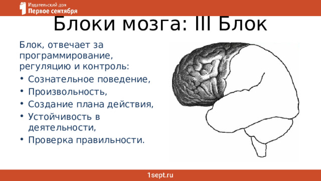 Блоки мозга: III Блок Блок, отвечает за программирование, регуляцию и контроль: Сознательное поведение, Произвольность, Создание плана действия, Устойчивость в деятельности, Проверка правильности. 