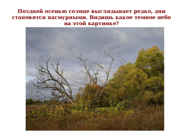 Осень предупреждала о своем приходе то сухим листком на скамейке то маленькой зеленой гусеницей