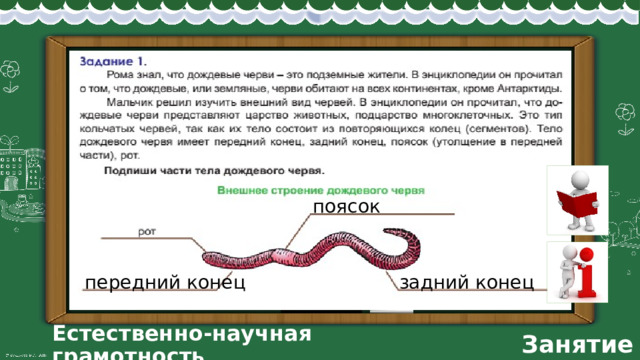 Дождевые черви функциональная грамотность 3 класс ответы. Функциональная грамотность 3 класс. Дождевые черви конспект по функциональной грамотности 3 класс. Про свечи функциональная грамотность 3 класс конспект и презентация. Функциональная грамотность 2 класс занятие 18 про крота