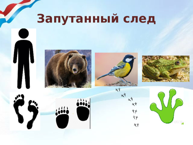 Запутанный след 