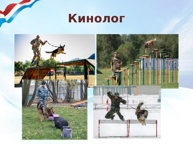 Кинолог 