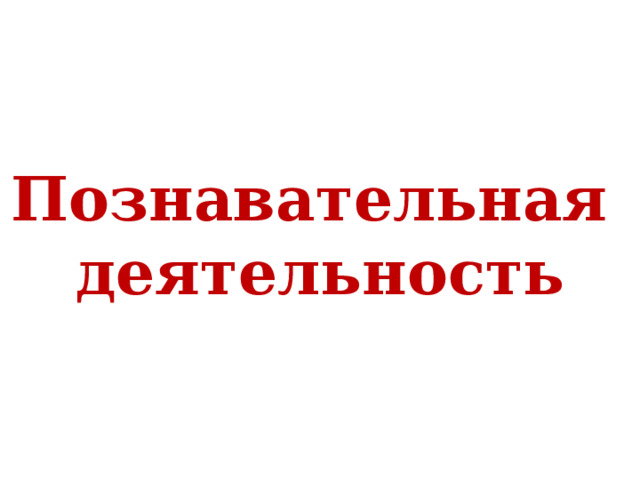 Познавательная  деятельность  