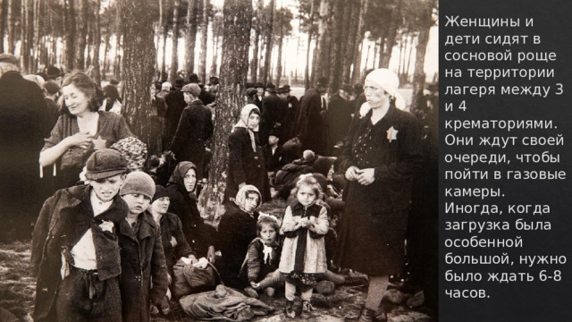 Женщины и дети сидят в сосновой роще на территории лагеря между 3 и 4 крематориями. Они ждут своей очереди, чтобы пойти в газовые камеры. Иногда, когда загрузка была особенной большой, нужно было ждать 6-8 часов. 