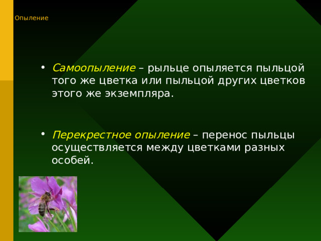 Механизмы перекрестного опыления. Гифки растений на презентацию.