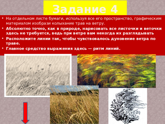 Задание 4 На отдельном листе бумаги, используя все его пространство, графическим материалом изобрази колыхание трав на ветру. Абсолютно точно, как в природе, нарисовать все листочки и веточки здесь не требуется, ведь при ветре вам некогда их разглядывать Расположите линии так, чтобы чувствовалось дуновение ветра по траве. Главное средство выражения здесь — ритм линий. 