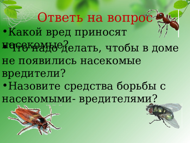 Ответь на вопрос Какой вред приносят насекомые? Что надо делать, чтобы в доме не появились насекомые вредители? Назовите средства борьбы с насекомыми- вредителями? 