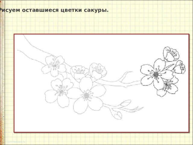 Рисуем ветку сакуры поэтапно презентация