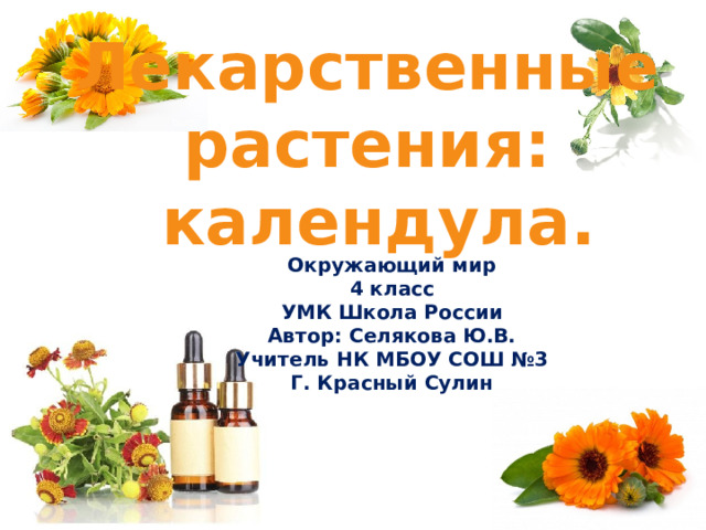 Лекарственные растения: календула.  Окружающий мир 4 класс УМК Школа России Автор: Селякова Ю.В. Учитель НК МБОУ СОШ №3 Г. Красный Сулин 