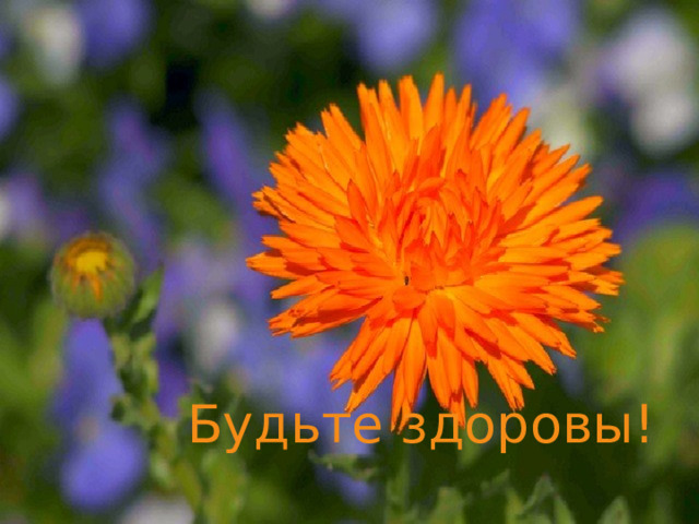 Будьте здоровы! 