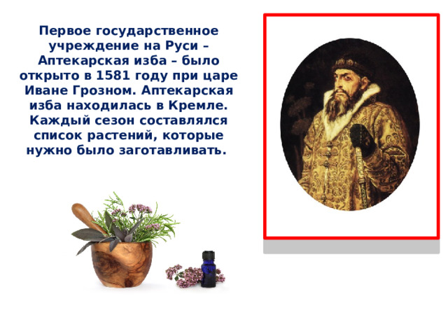 Первое государственное учреждение на Руси – Аптекарская изба – было открыто в 1581 году при царе Иване Грозном. Аптекарская изба находилась в Кремле. Каждый сезон составлялся список растений, которые нужно было заготавливать. 