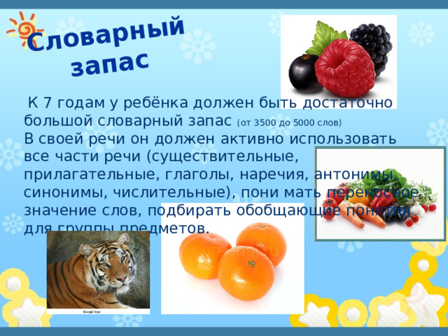 Словарный запас  К 7 годам у ребёнка должен быть достаточно большой словарный запас (от 3500 до 5000 слов)   В своей речи он должен активно использовать все части речи (существительные, прилагательные, глаголы, наречия, антонимы, синонимы, числительные), пони мать переносное значение слов, подбирать обобщающие понятия для группы предметов.   