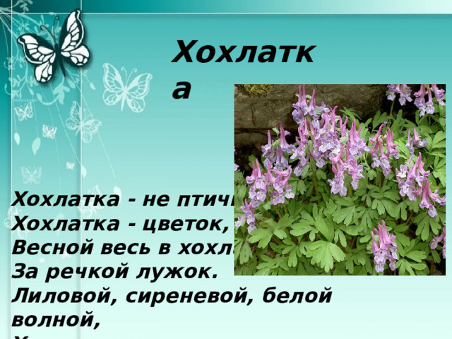 Хохлатка Хохлатка - не птичка,  Хохлатка - цветок,  Весной весь в хохлатках  За речкой лужок.  Лиловой, сиреневой, белой волной,  Хохлатки цветут на поляне лесной. 