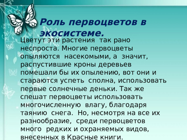Роль первоцветов в экосистеме. Цветут эти растения так рано неспроста. Многие первоцветы опыляются насекомыми, а значит, распустившие кроны деревьев помешали бы их опылению, вот они и стараются успеть сполна, использовать первые солнечные деньки. Так же спешат первоцветы использовать многочисленную влагу, благодаря таянию снега. Но, несмотря на все их разнообразие, среди первоцветов много редких и охраняемых видов, внесенных в Красные книги. Первоцветы –это очень желаемые цветы, ведь они предвещают окончательный уход зимы и неизбежное наступление тёплого лета. 