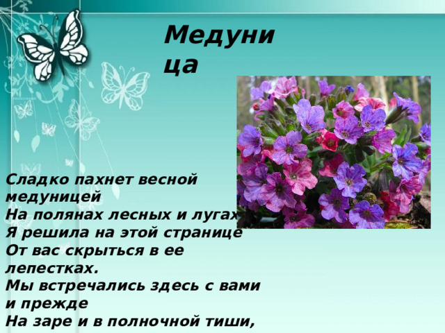 Медуница Сладко пахнет весной медуницей На полянах лесных и лугах, Я решила на этой странице От вас скрыться в ее лепестках. Мы встречались здесь с вами и прежде На заре и в полночной тиши, Но как тело скрывают одежды, Так прикрыла я тайны души. 