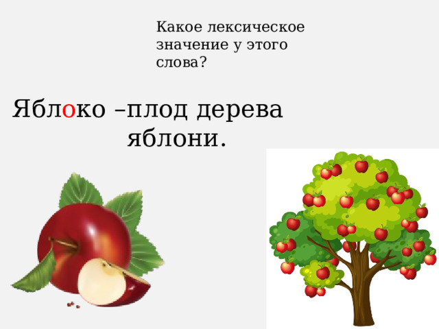 Какое лексическое значение у этого слова? Ябл о ко – плод дерева яблони. 