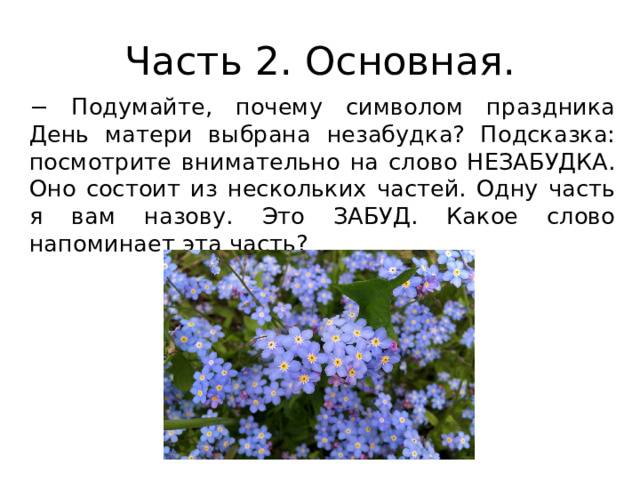 Незабудка символ дня матери. Незабудка цветок символ дня матери. Символ праздника мам цветок Незабудка. Незабудки для мамы. Почему Незабудка символ праздника день матери.