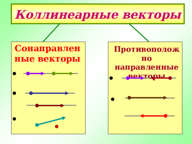 Коллинеарные векторы Сонаправленные векторы  Противоположно направленные векторы 