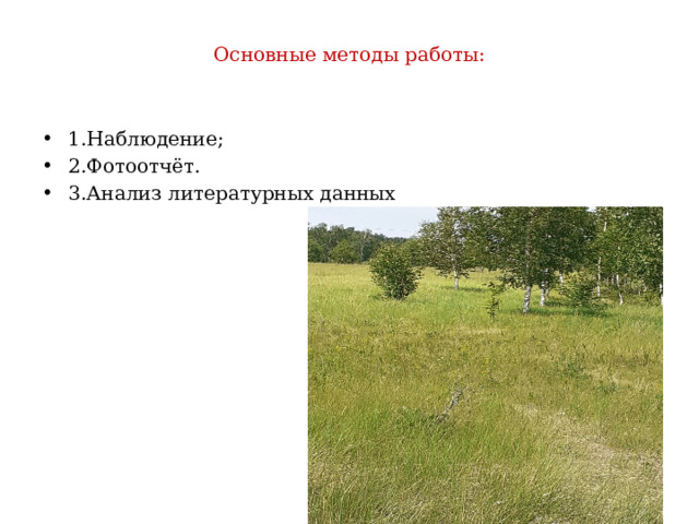 Основные методы работы:   1.Наблюдение; 2.Фотоотчёт. 3.Анализ литературных данных 