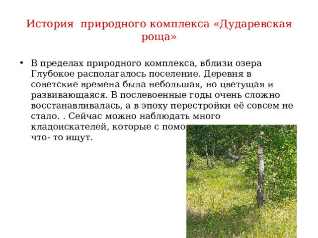 История природного комплекса «Дударевская роща» В пределах природного комплекса, вблизи озера Глубокое располагалось поселение. Деревня в советские времена была небольшая, но цветущая и развивающаяся. В послевоенные годы очень сложно восстанавливалась, а в эпоху перестройки её совсем не стало. . Сейчас можно наблюдать много кладоискателей, которые с помощью металлоискателя, что- то ищут. 