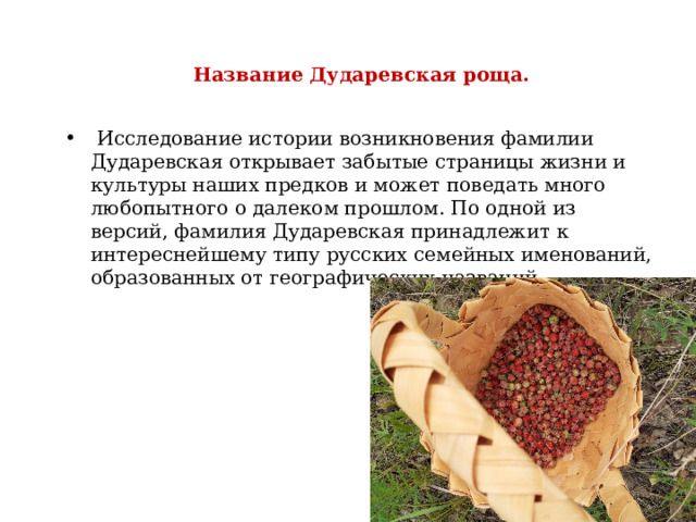  Название Дударевская роща.  Исследование истории возникновения фамилии Дударевская открывает забытые страницы жизни и культуры наших предков и может поведать много любопытного о далеком прошлом. По одной из версий, фамилия Дударевская принадлежит к интереснейшему типу русских семейных именований, образованных от географических названий. 