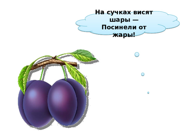 На сучках висят шары — Посинели от жары!  