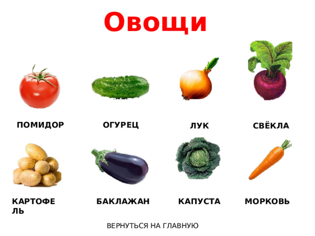Овощи   ОГУРЕЦ ПОМИДОР ЛУК СВЁКЛА БАКЛАЖАН КАПУСТА КАРТОФЕЛЬ МОРКОВЬ ВЕРНУТЬСЯ НА ГЛАВНУЮ 