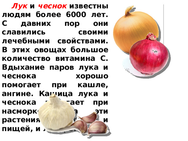 Фрукты и овощи на нашем столе 1 класс окружающий мир презентация перспектива