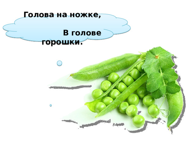Голова на ножке, В голове горошки.  