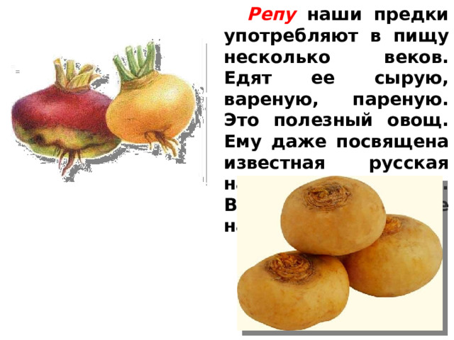 Пили наши предки. Презентация к уроку: фантазии из овощей и фруктов на тему.