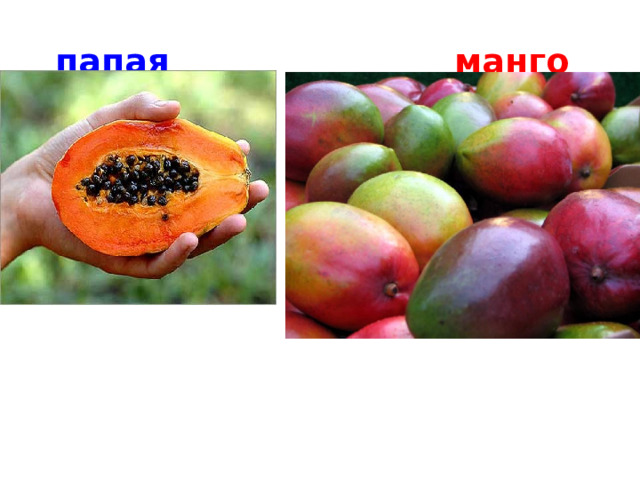 папая  манго          