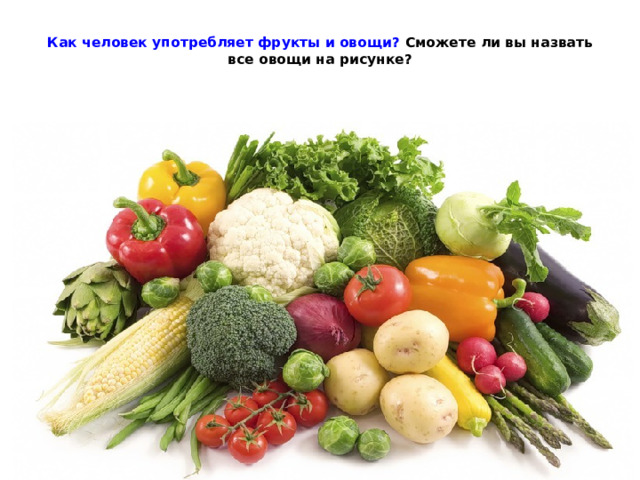 Как человек употребляет фрукты и овощи? Сможете ли вы назвать все овощи на рисунке? 