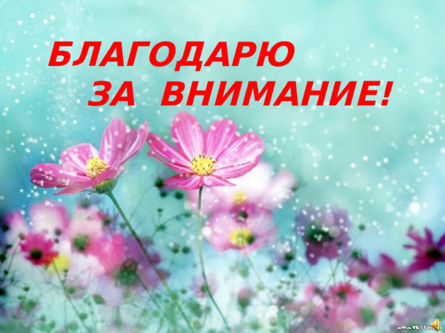 БЛАГОДАРЮ ЗА ВНИМАНИЕ! 