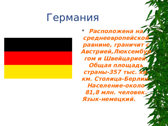 Германия Расположена на среднеевропейской равнине, граничит с Австрией,Люксембургом и Швейцарией. Общая площадь страны-357 тыс. кв. км. Столица-Берлин. Население-около 81,8 млн. человек. Язык-немецкий.  