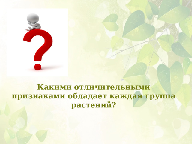 Какими отличительными признаками обладает каждая группа растений? 