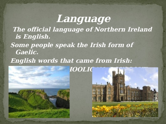Language  The official language of Northern Ireland is English. Some people speak the Irish form of Gaelic. English words that came from Irish:  SLOGAN, HOOLIGAN, BOYSCOUT, 