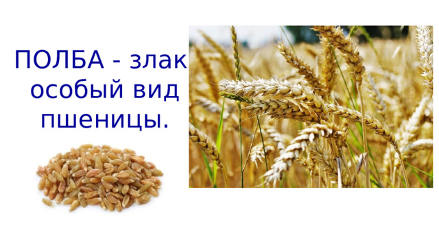 ПОЛБА - злак, особый вид пшеницы. 