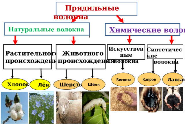  Прядильные волокна  Химические волокна  Животного Растительного происхождения происхождения Искусственные волокна Синтетические волокна Лавсан Хлопок  Лён Шерсть Повторение пройденного материала. Вопрос: на какие две группы делятся волокна? Ответ: все волокна делятся на две группы: натуральные волокна и химические волокна.  