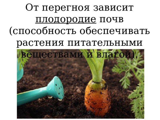 От чего зависит плодородие. Плодородие почвы зависит от.