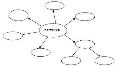 Схема по окружающему миру