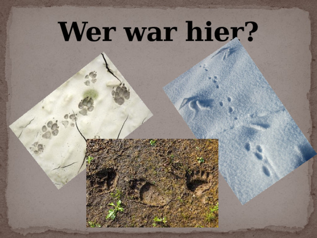 Wer war hier? 