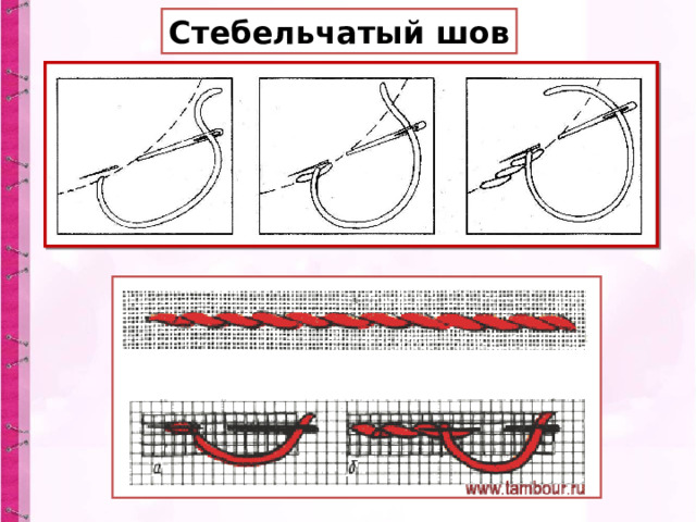 Стебельчатый