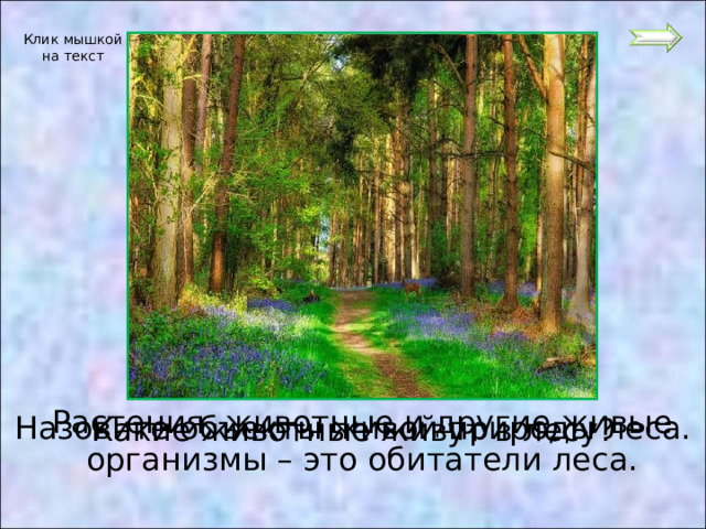 Клик мышкой на текст Растения, животные и другие живые организмы – это обитатели леса. Назовите объекты живой природы леса. Какие животные живут в лесу? 