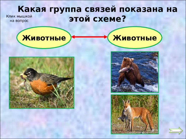 Какая группа связей показана на этой схеме? Клик мышкой на вопрос Животные Животные 