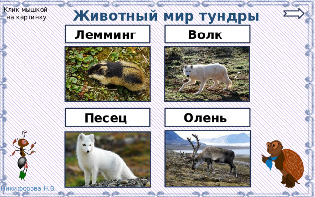Станция песец карта