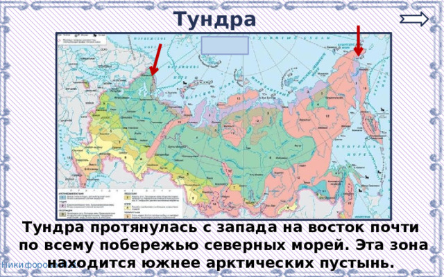 Где находится тундра. Тундра на карте. Викторина зона арктических пустынь. Тундра на карте мира.